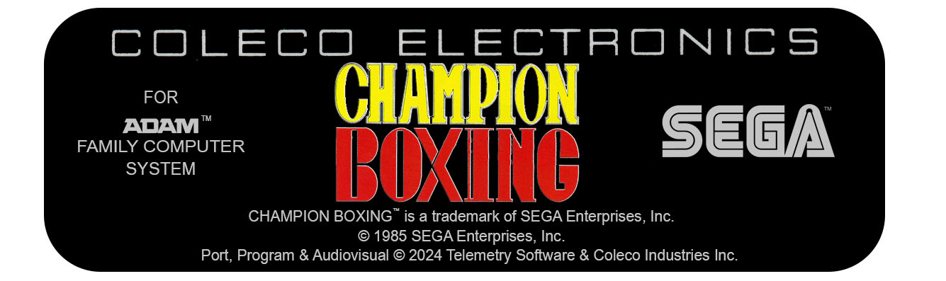 Champion Boxing Floppy Disk